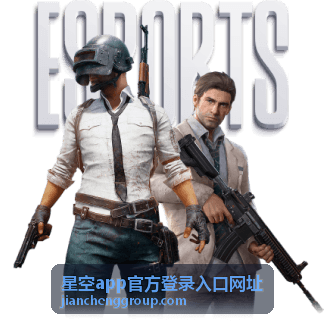 星空app官方登录入口网址密码找回与账号申诉指南